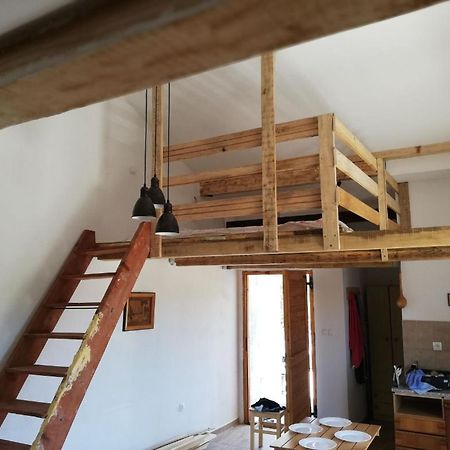 Apartment Zola ゴルニ・カリン エクステリア 写真
